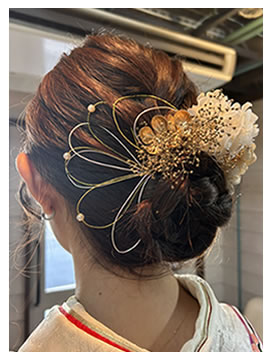 Hair Set04